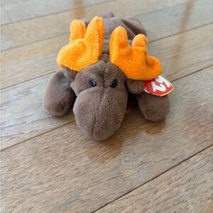 🤎RARE BEANIE BABY GET BEFORE GONE🤎